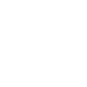 Peak logo white